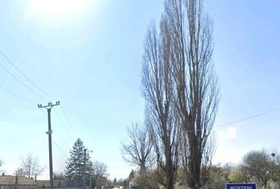 Teren Bolintin Deal - Mosteni - 1