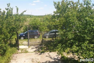 Teren de 11860 mp, în Călugăreni - 10