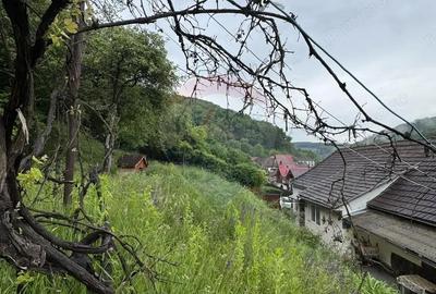 Casă cu 4 camere cu Teren 912 Mp în Sighișoara - 6