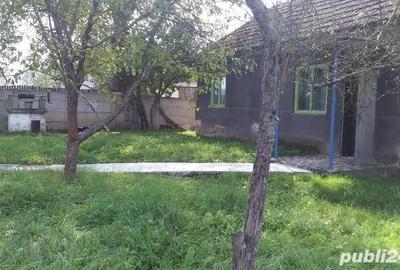 Casă cu 4 camere în Bretea Streiului - 4