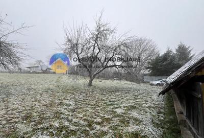 Casa si teren- Negresti - 30