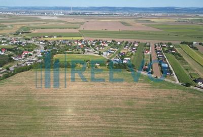 Teren Construcții intravilan de 7366 mp, în Sărata (Sărata) - 4