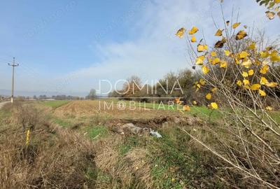 Vanzare teren intravilan - 1654 mp - strada Amurgului - Ursa?i - 3