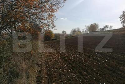 Teren de 5000 mp, în Central - 1