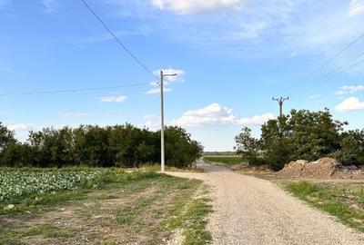 Teren Construcții intravilan de 9100 mp, în Răcari - 9