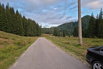 Teren de vanzare la munte pentru  cabana - 11