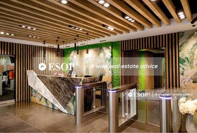 Spațiu comercial, de 5,900 mp, în Băneasa - 4