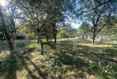 Casa de vanzare, 70 mp , teren de 3000 mp , Cacova Ierii - 1