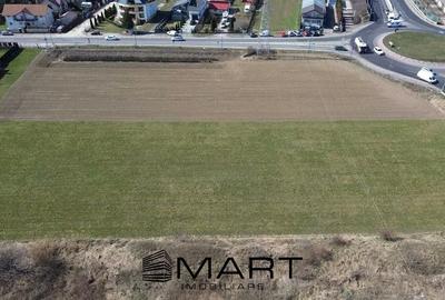 Teren Construcții intravilan de 8762 mp, în Stupini - 2