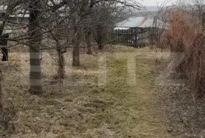 Casa batraneasca cu teren de 6700 mp intravilan, Ipatele - 2