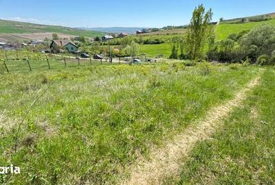 Teren de 900 mp, în Central - 2