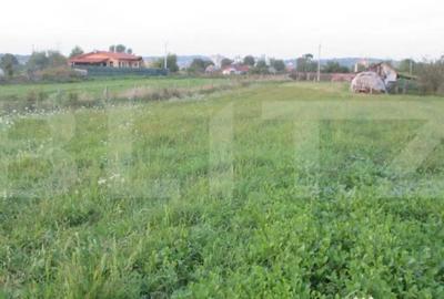 Teren de 6000 mp, în Turda - 2