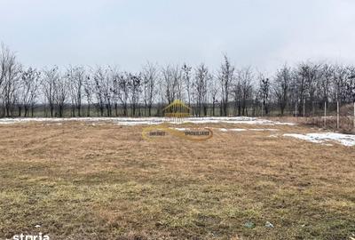 Teren de 900 mp, în Săucești - 2