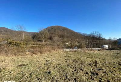 Teren de 2211 mp, în Vișinești - 3