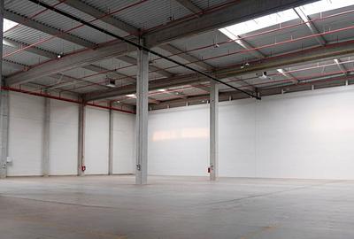 Spațiu industrial, de 2,610 mp, în Someșeni - 2
