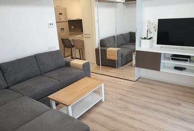 Apartament cu 2 camere semidecomandat, mobilat în Bună Ziua - 2