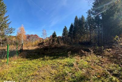 Spațiu comercial, în Central - 1