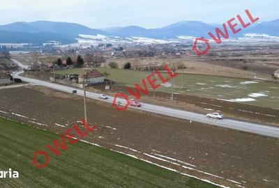 Teren de 4100 mp, în Tușnad - 5