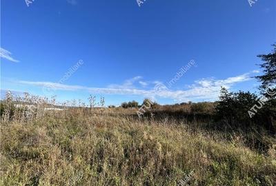 Teren intravilan 5000 mp in zona industriala Selimbar din Sibiu - 6