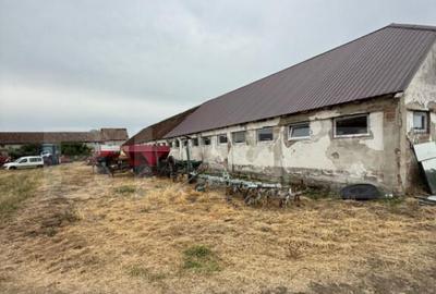 Ferma de Vanzare in judetul Timis, la nord est de Timisoara, - 8