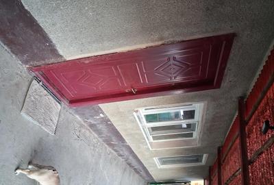 Casă cu Teren 2500 Mp în Otelec - 10