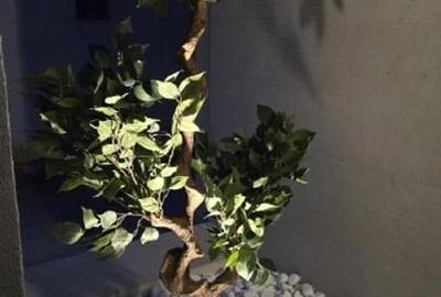 Propr, vand apartament 3 cam Complex, Facultatea Drept Timisoara - 16