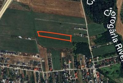 Teren de 3000 mp, în Ciorogârla - 2