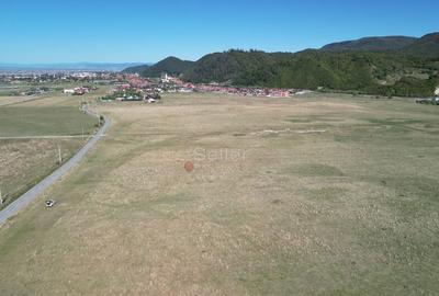 Teren de 14500 mp, în Sud - 4