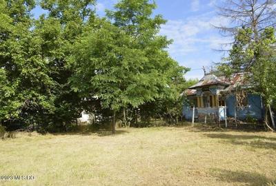 Suseni - Teren intravilan cu casa batraneasca, plan, suprafata 4700 mp! - 7