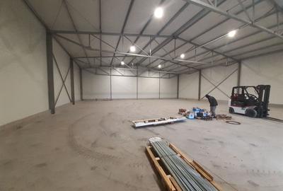 Hala noua in zona Gara Catelu, Drumul Intre Tarlale - 3