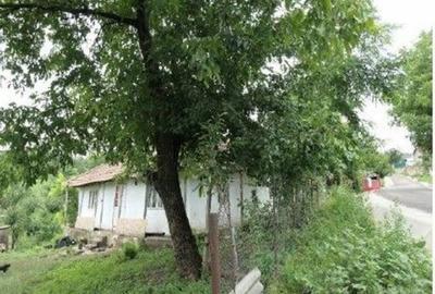 Casă cu 2 camere cu Teren 2361 Mp în Costinești - 4