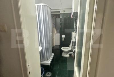 Apartament 3 Camere, Vila Rustica /Investitie Brilliant - 7