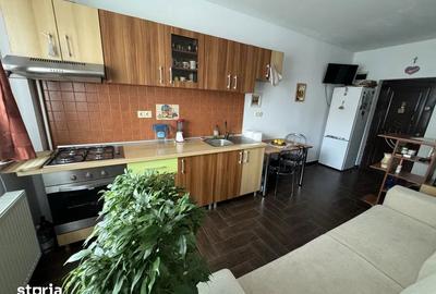 Apartament cu 2 camere, mobilat în Turnișor - 1