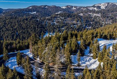 Teren de 15000 mp, în Dreptu - 3