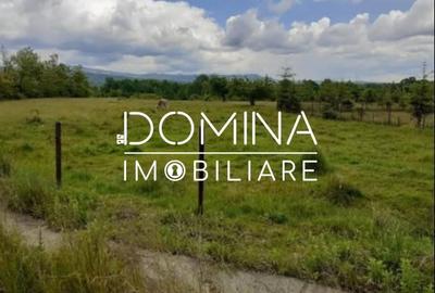 Teren Construcții intravilan de 5000 mp, în Central - 4