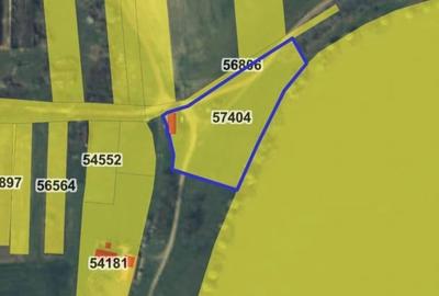 Teren agricol extravilan de 5755 mp, în Miersig - 10