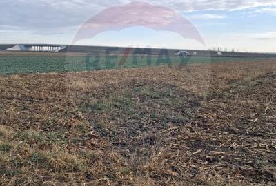 Teren agricol intravilan de 3400 mp, în Sântion - 3