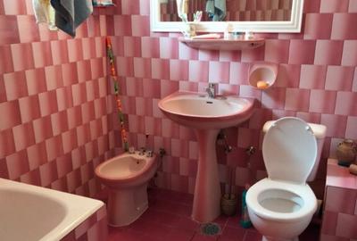 Casa in zona Decebal D+P+E+Pod, 600 mp teren - 12