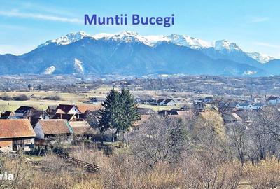 Spațiu comercial, în Predeluț - 13