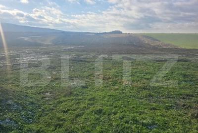 Teren intravilan in Cheriu foarte aproape de inelul metropol - 1