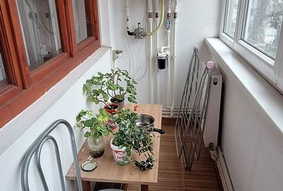 Garsonieră semidecomandată în Butculești - 8