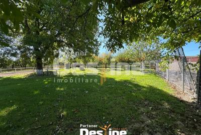 Teren Construcții intravilan de 11000 mp, în Tătăruși - 2