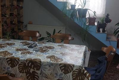 Casă în Topolovățu Mare - 9
