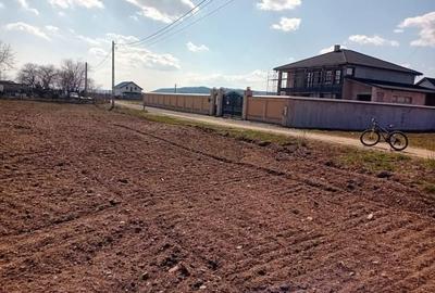 Teren de 3460 mp, în Dumbrava - 1