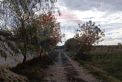 Teren Construcții intravilan de 2056 mp, în Ciolpani - 3