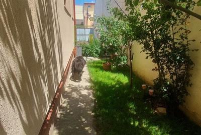 Casă cu 5 camere cu Teren 300 Mp în Pieptănari - 7