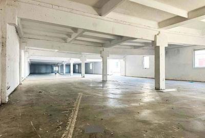 Inchiriere Hale Industriale in Aluni?, Arad 250 mp-1.500 mp - 7