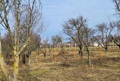 Teren de 4300 mp, în Central - 6