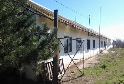 Teren Construcții intravilan de 37 mp, în Mogoșești - 15