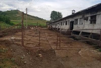 Casă cu 5 camere în Central - 2